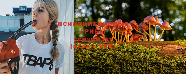 винт Баксан