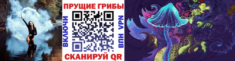 Галлюциногенные грибы Cubensis где купить Шали