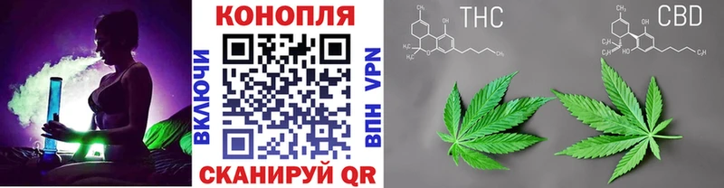 Бошки Шишки план Шали